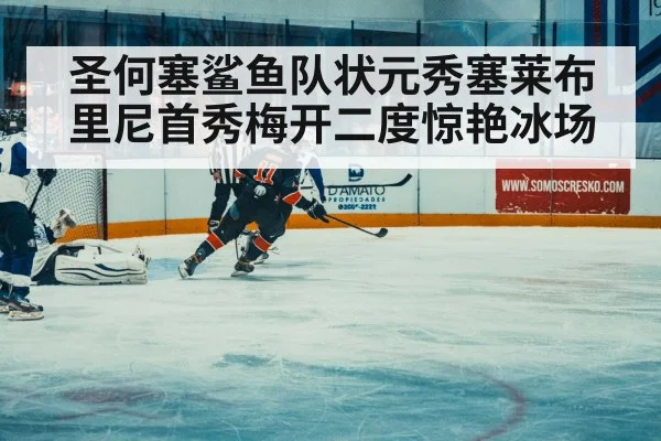圣何塞鲨鱼队状元秀塞莱布里尼首秀梅开二度惊艳冰场